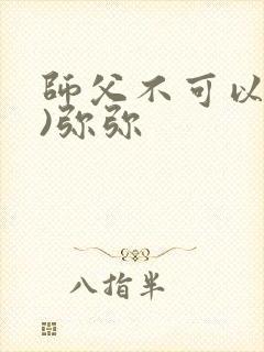 师父不可以(限)弥弥封面