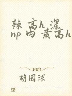 辣 高h 浓 np 肉 黄高h