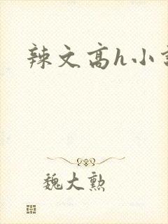 辣文高h小说封面