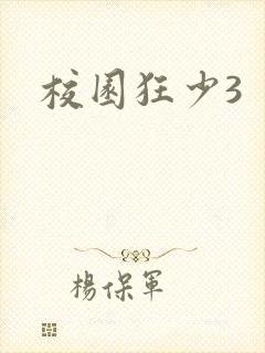 校园狂少3