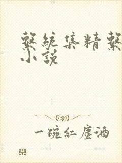 系统集精系统 小说