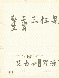 擎天玉柱是什么生肖