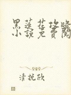 黑莲花攻略手册小说免费阅读全文