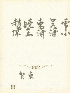 赵晓东吴雪晴郑伟王潇潇小说名字封面