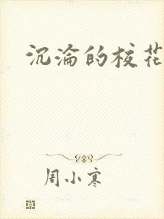 沉沦的校花