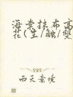 海棠抹布高岭之花(生/触/双)封面