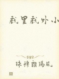 戏里戏外小说封面