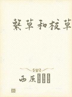 系草和校草封面