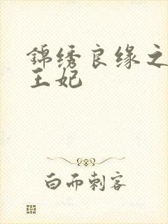 锦绣良缘之北地王妃封面