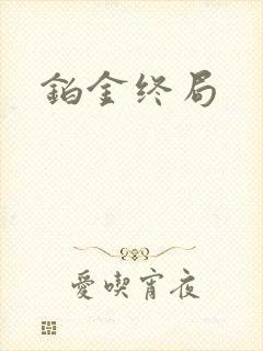 铂金终局