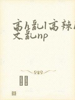 高h乱l高辣h文乱np