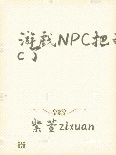 游戏NPC把我c了
