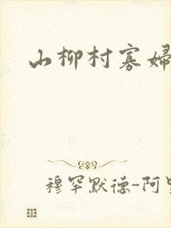 山柳村寡妇情史