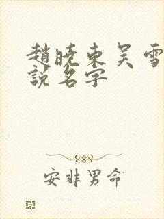 赵晓东吴雪晴小说名字封面