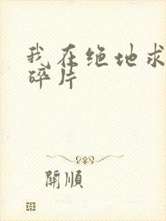 我在绝地求生捡碎片封面