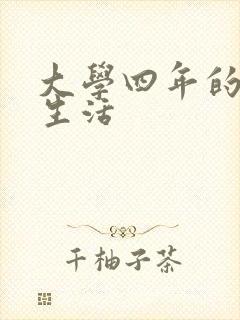 大学四年的贱奴生活封面