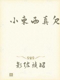 小东西真欠弄
