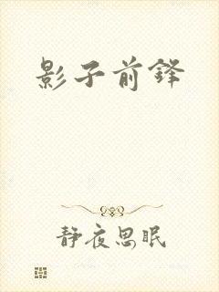 影子前锋封面