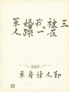 军婚我被三个男人躁一夜封面