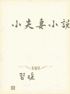 小夫妻小说