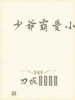 少爷霸爱小丫头