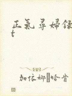 正气寻妇录txt