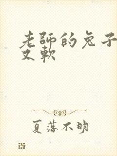 老师的兔子又大又软