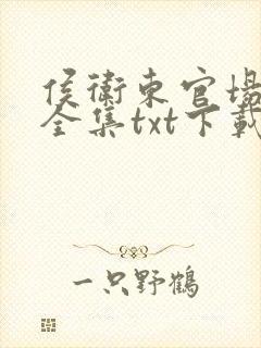 侯卫东官场笔记全集txt下载