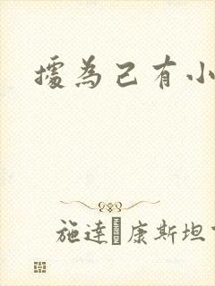 据为己有小说