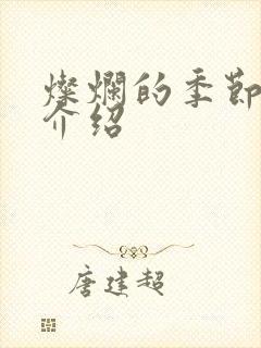 灿烂的季节剧情介绍