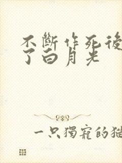 不断作死后我成了白月光