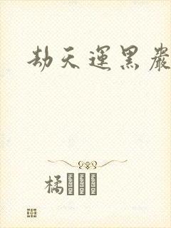 劫天运黑岩封面