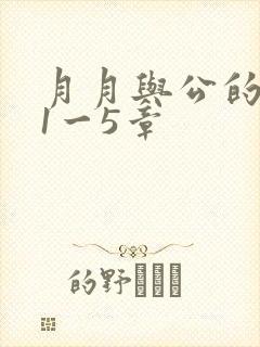 月月与公的激情1一5章