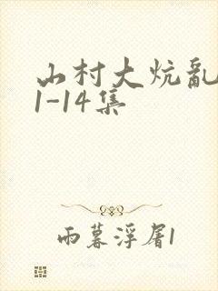 山村大炕乱肉续1-14集封面