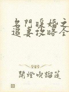 名门暖婚之权爷追妻攻略全文免费阅读封面