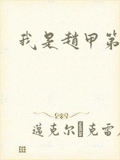 我是赵甲第小说封面
