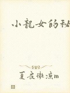 小龙女的秘密封面