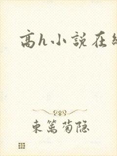高h小说在线看
