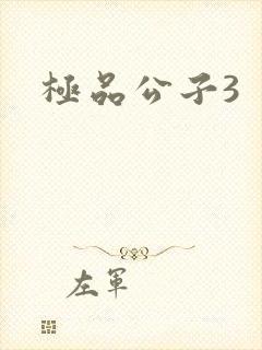 极品公子3