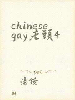 chinesegay老头4封面