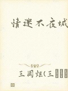 情迷不夜城