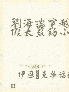 刘海瑞穿越后宫假太监的小说