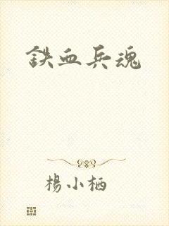 铁血兵魂