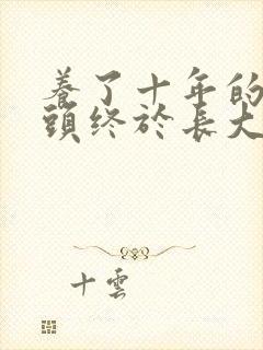 养了十年的小丫头终于长大了