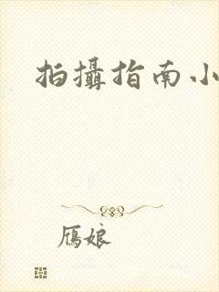 拍摄指南小说