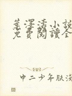 叶泽涛小说全文免费阅读全文