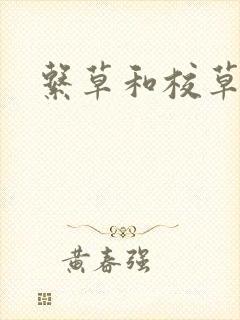 系草和校草封面