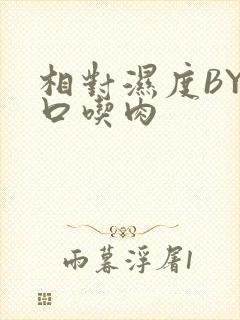 相对湿度BY大口吃肉