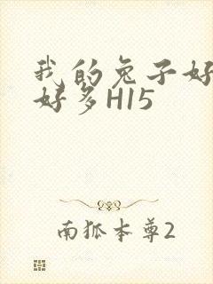 我的兔子好软水好多H15封面