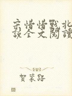 宋惜惜战北望小说全文阅读封面